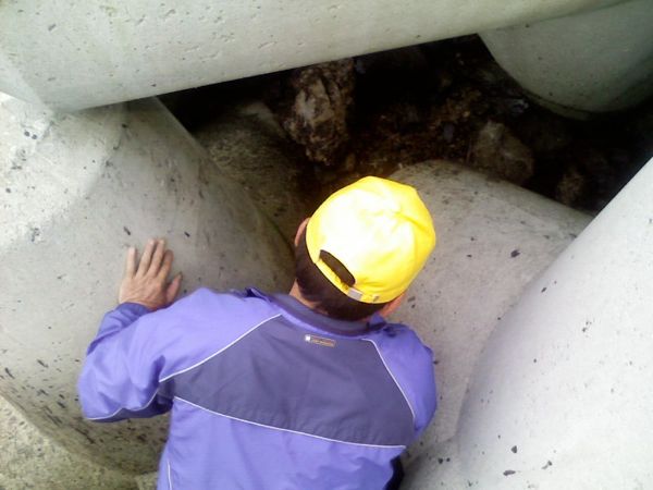 4 Korean Institue official applying OSE II deep into the cracks and mobilizing the oil out of the cracks to the surface cleaning the cracks and crevic