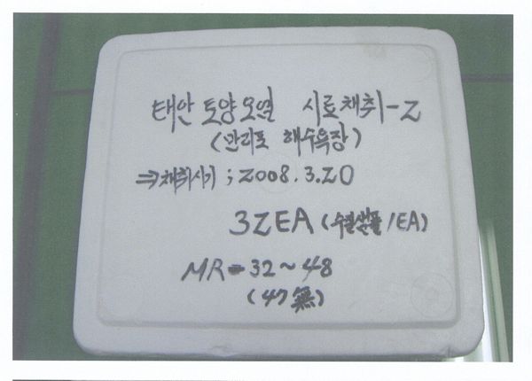 9 The over 450 samples were sent to a third party lab in Houston Texas which showed extensive oiling of the subsurface of the Korean Shoreline