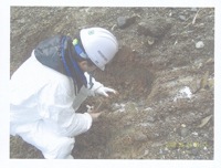 4 Samples were taken by hand as well easily exposing the oil in the sand and rocks, and pebbles