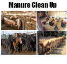 Manure Clean Up